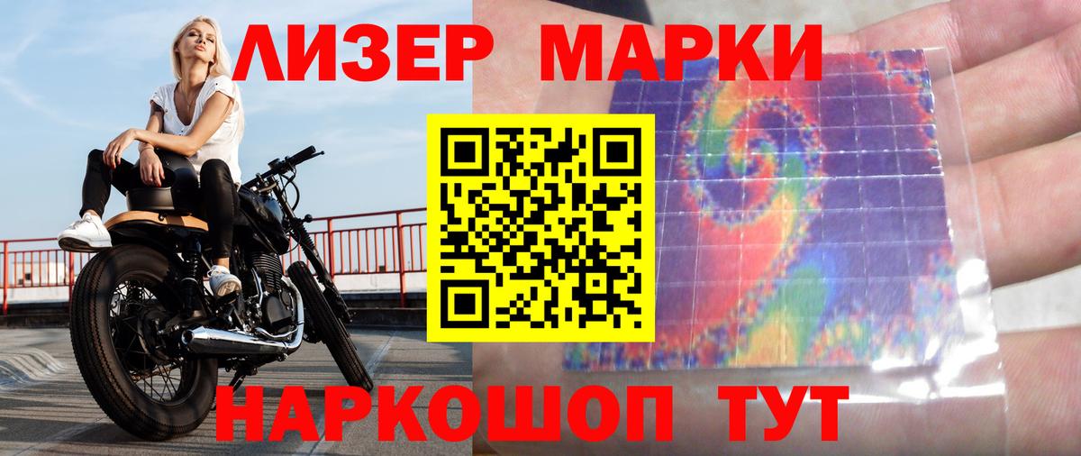 МЕФ Шадринск