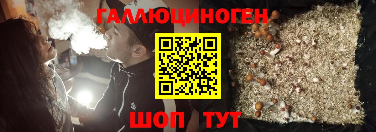 Галлюциногенные грибы GOLDEN TEACHER  Псилоцибиновые грибы ЛСД  Шадринск  Вход с VPN 
