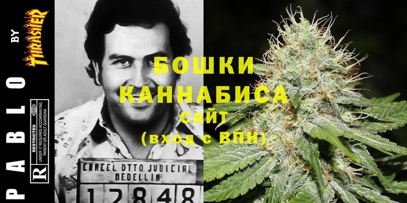 купить  сайты  Шадринск  Бошки Шишки White Widow 