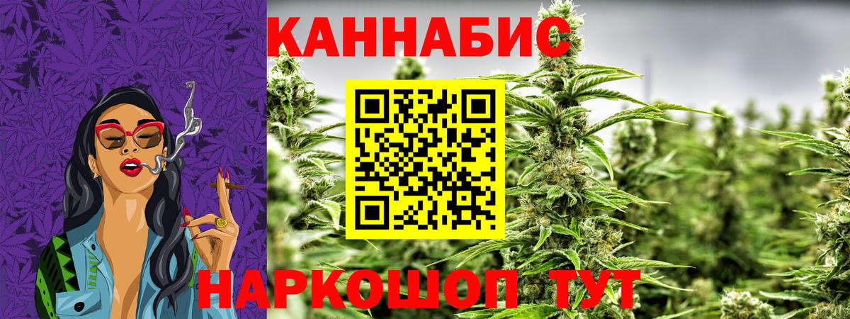Бошки Шишки план Шадринск